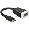 Delock Adapter HDMI-mini C dugó  VGA hüvely audióval (65588)