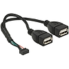 Delock USB 2.0-s csatlakozóhüvellyel ellátott kábel, 2,00 mm, 10 tus  2 x USB 2.0 A-típusú csatlako (84933)