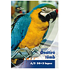 Pd önátírótömb A5 50x3 lapos vegykezelt papagáj mintás, Akció a készlet erejéig!