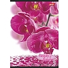UNIPAP Flowers füzet A4 32 lapos kockás